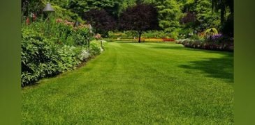 Farmhouses see Jump in Demand after New CLU Policy