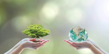 The Rising Trend Of Eco-friendly And Sustainable Living