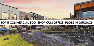 Top 5 Commercial SCO (Shop Cum Office) Plots in Gurgaon